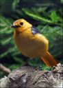 DSC00771-1.jpg