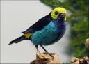 Filename=DSC00963-1.jpg
Filesize=101KiB
Dimensions=800x576
Date added=Oct 11, 2016 DSC00963-1.jpg