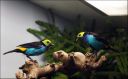 Filename=DSC00964.jpg
Filesize=95KiB
Dimensions=800x498
Date added=Oct 11, 2016 DSC00964.jpg