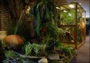 Filename=DSC00975.jpg
Filesize=176KiB
Dimensions=800x566
Date added=Oct 11, 2016 DSC00975.jpg