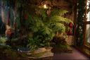 Filename=DSC00976.jpg
Filesize=161KiB
Dimensions=800x533
Date added=Oct 11, 2016 DSC00976.jpg