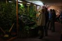 Filename=IMG_7420.jpg
Filesize=133KiB
Dimensions=800x534
Date added=Oct 11, 2016 IMG_7420.jpg