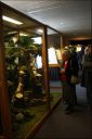 Filename=IMG_7421.jpg
Filesize=134KiB
Dimensions=534x800
Date added=Oct 11, 2016 IMG_7421.jpg