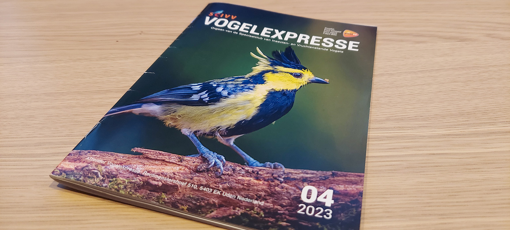 Vogelexpresse 2023-04